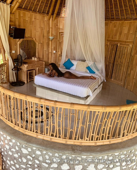 Megan Milan erotic model picture