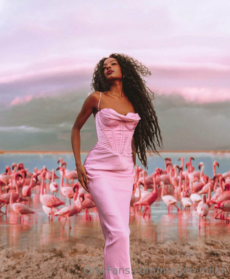 Megan Milan pornographic actress img