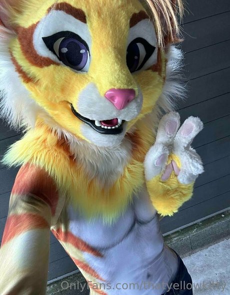 thatyellowkitty beautiful star photo