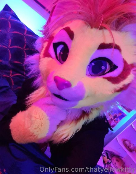 thatyellowkitty top actress image