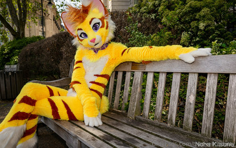 thatyellowkitty sexy pornstar pics