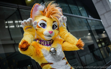 thatyellowkitty free model galleries