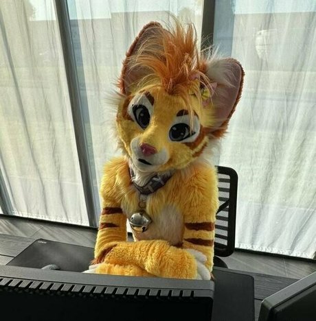 thatyellowkitty best star picture