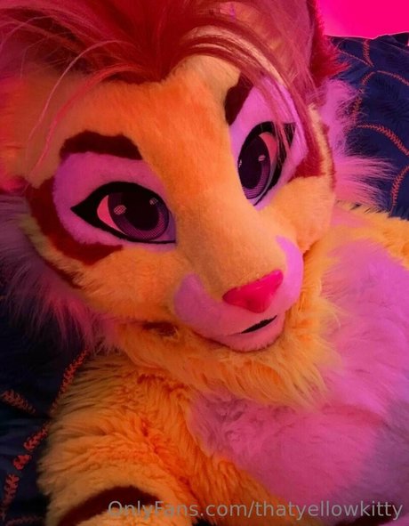 thatyellowkitty exclusive pornstar pictures