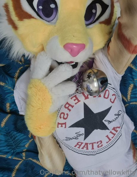 thatyellowkitty high quality pornstar archive