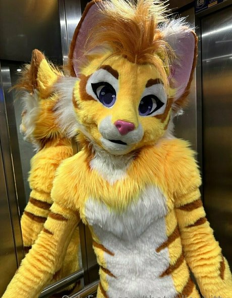 thatyellowkitty star art photos