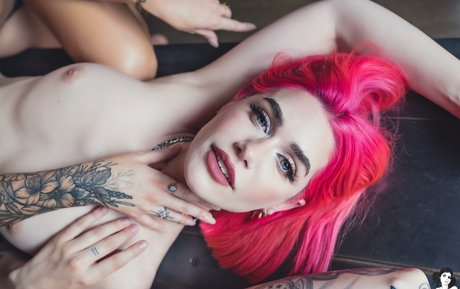 Mataro star art images