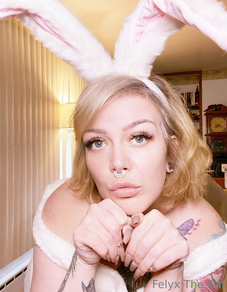 felyxfree adult actress galleries