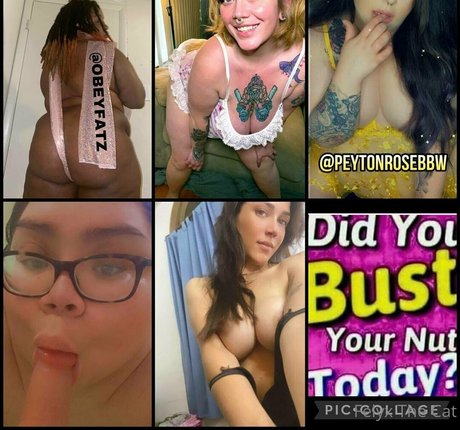 felyxfree pornstar adult galleries