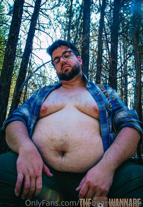 thebearwannabe best star images