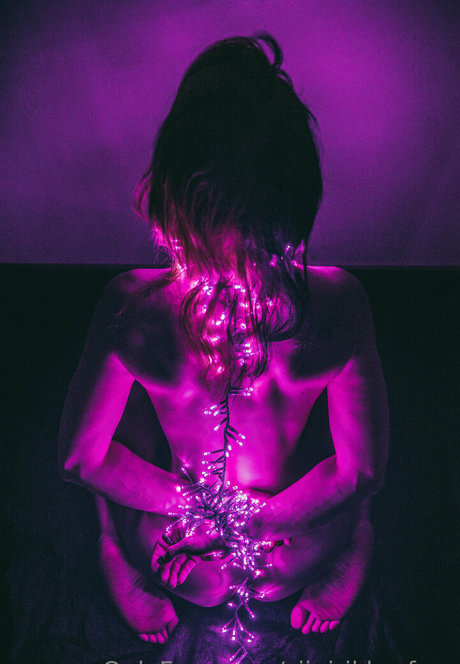 siipirikko free pretty star archive