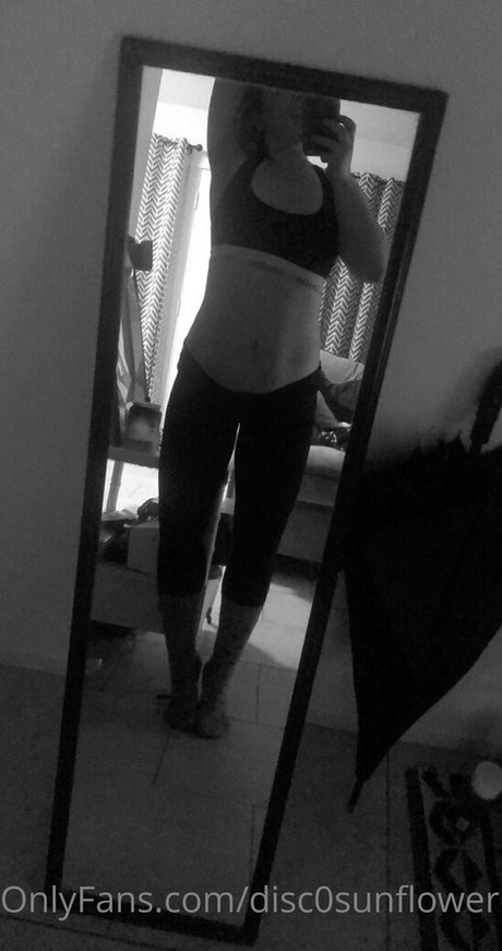 disc0sunflower free model picture