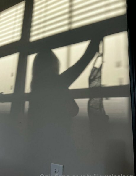 willowclarkvip best model picture