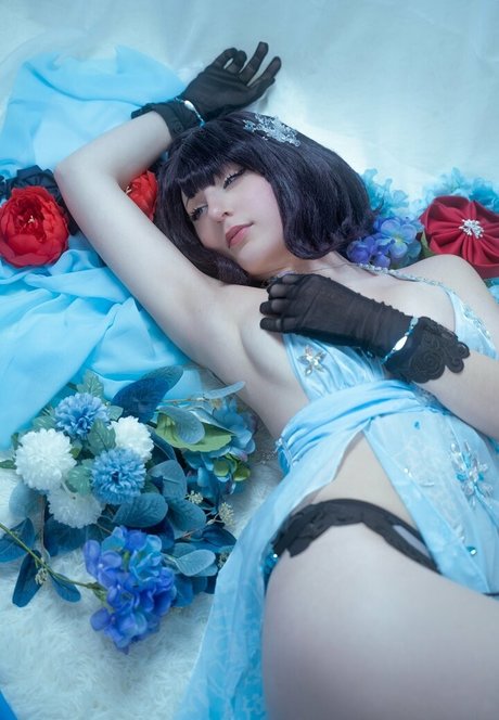 Elycoris star beautiful img