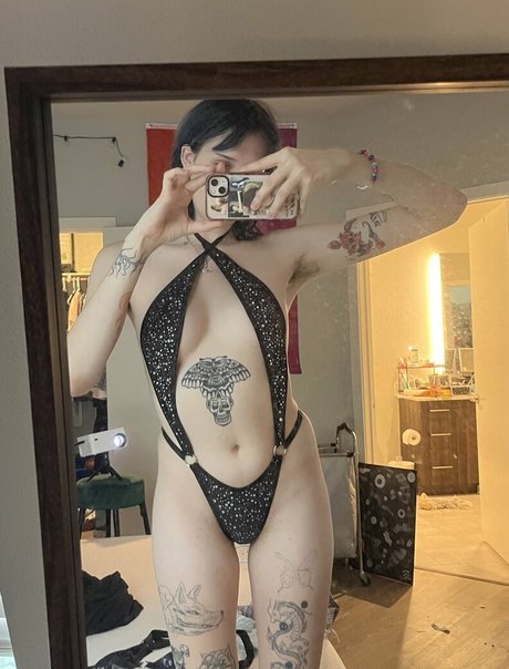 gray nice star photo