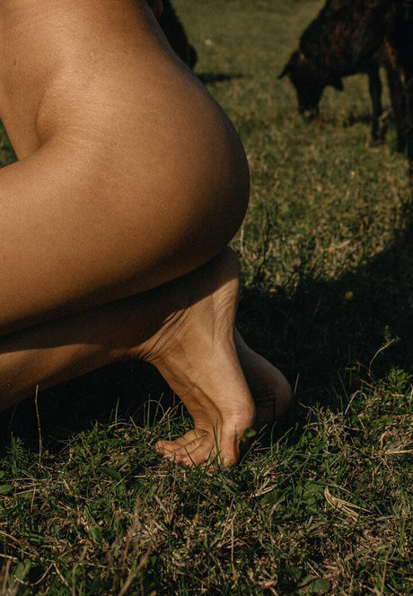 Julia Slip adult star gallery