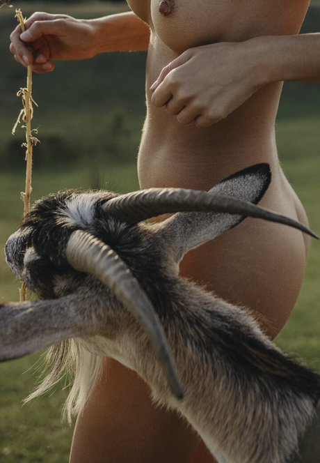 Julia Slip perfect star pictures