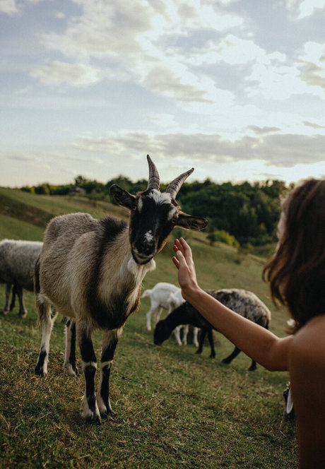 Julia Slip star nude photos