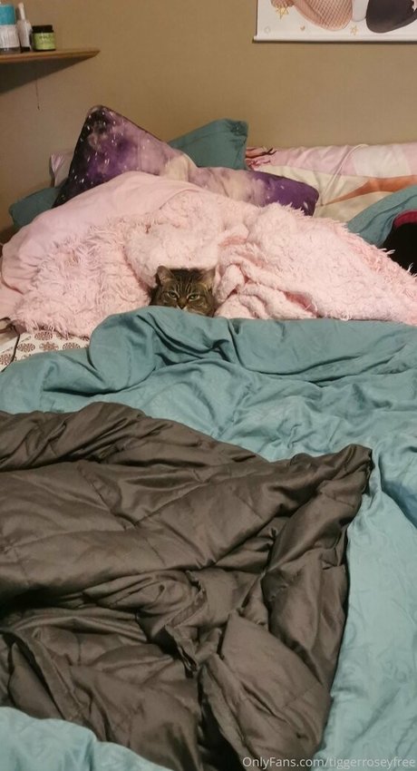 tiggerroseyfree model nudes gallery