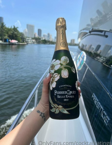 torgalore hd model archive