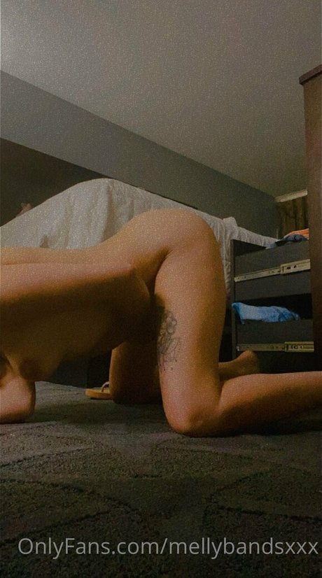 diablabonitax model nice img