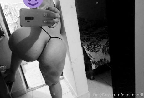 danimadri art star gallery