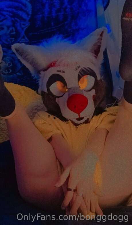 Bonggdogg model nude archive