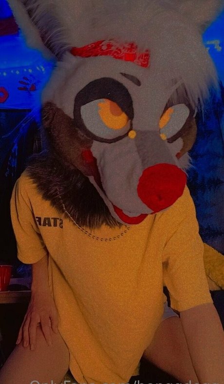 Bonggdogg star nice gallery