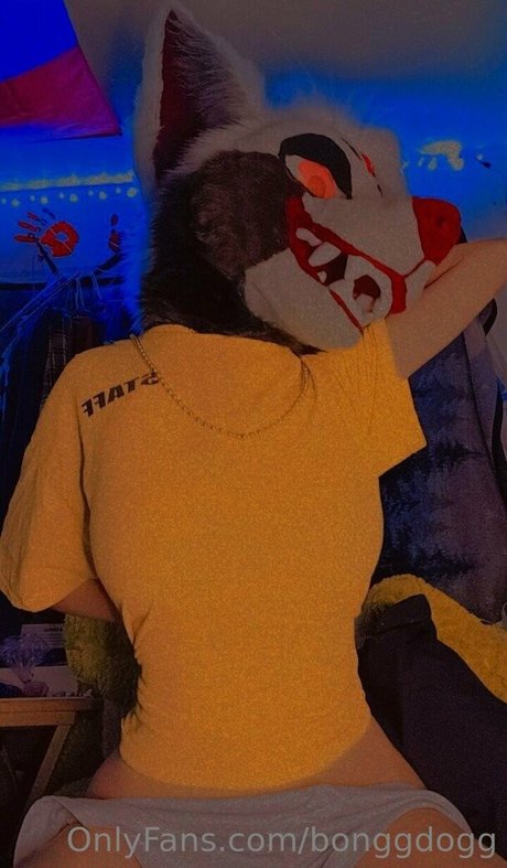 Bonggdogg hd model pictures