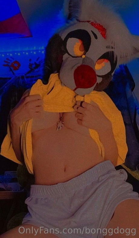 Bonggdogg nude pornstar photo