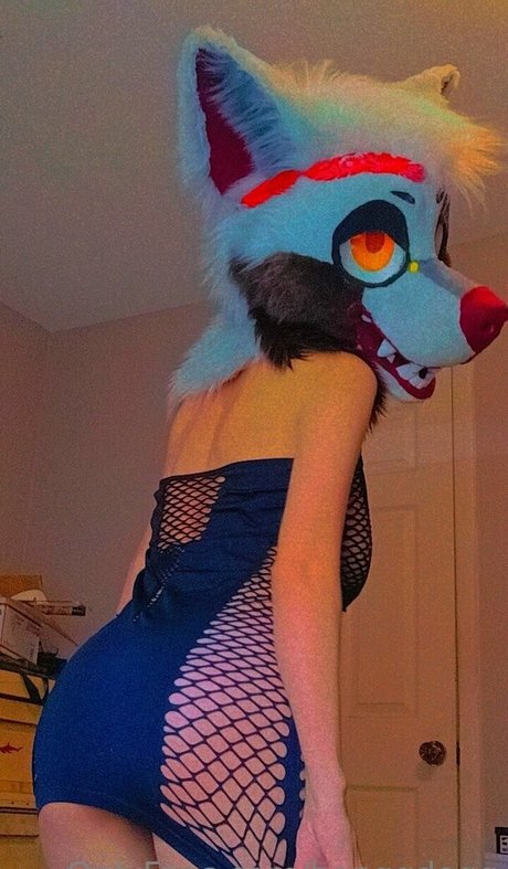 Bonggdogg pornstar nice images