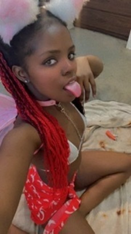 Princess kitten top star pictures