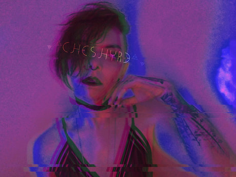 Cheshyre model top archive