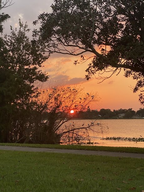 Grace and friends nice star image