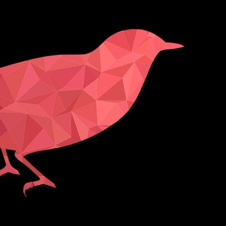 Corbeau Rouge star art galleries