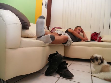 Daily Stinky Socks nice star pic