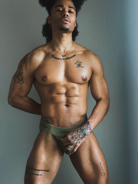 Chico Fit star xxx galleries