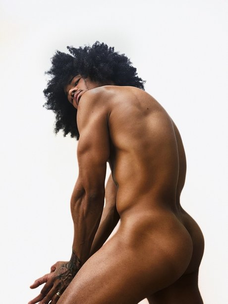 Chico Fit model art gallery