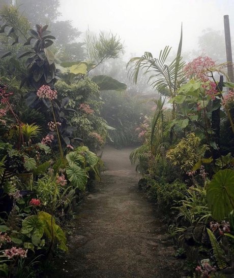 Depeche Ho hot pornstar pictures