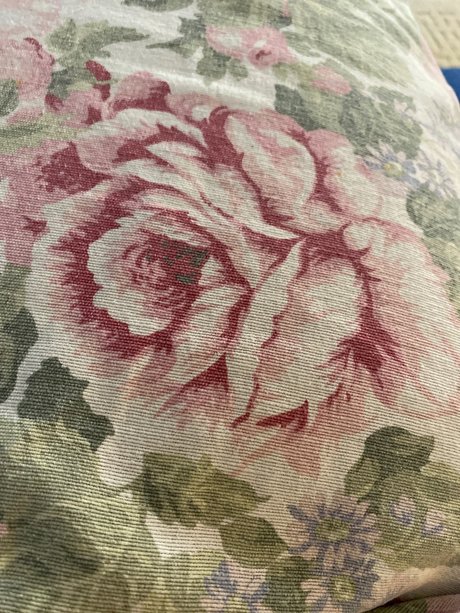 u25483124 nude actress gallery