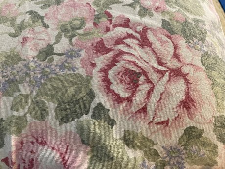 u25483124 star high quality photos