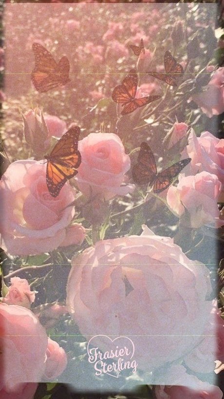 Your Favorite Wh re_ hot star photo