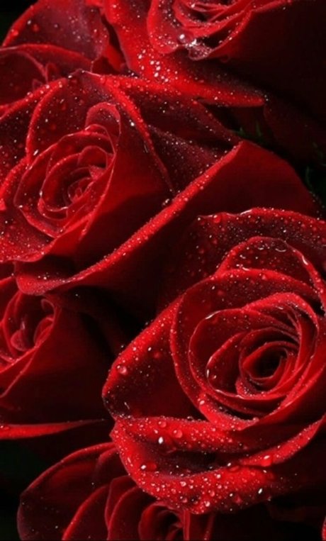 OfficialPrettyRed top model photos