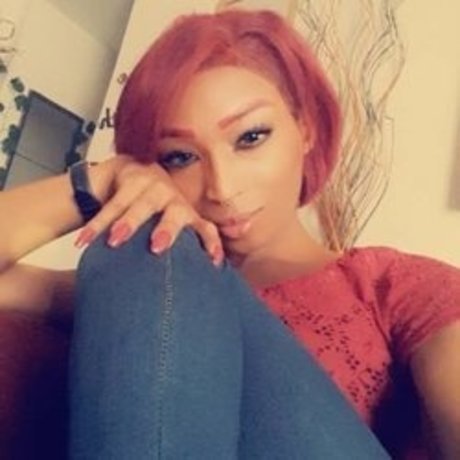 Kammy s World model best img