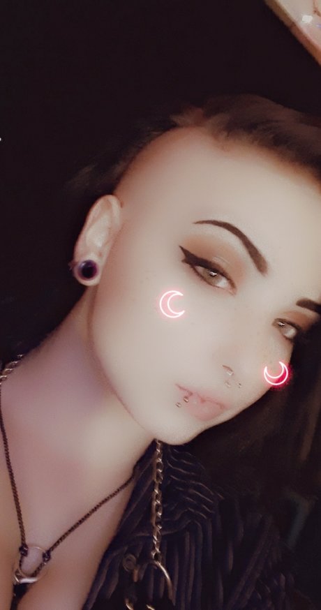 Pretty Kitty_ exclusive star picture