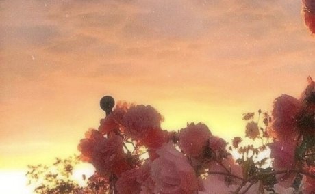 helloooo_ xxx star picture