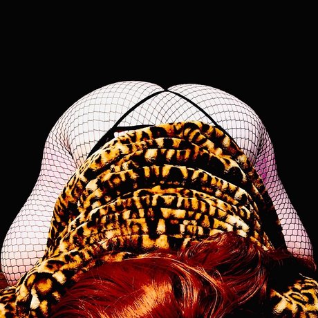 Pumpkin Spice star nice pics