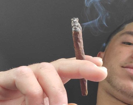 Puff Wellington art model images