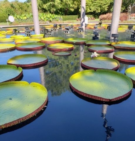 PuckDaddy model high quality photo