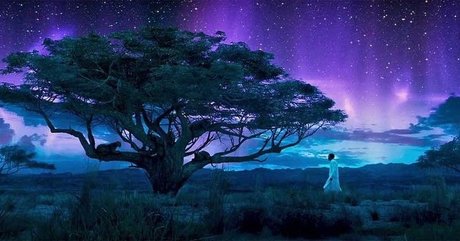 PrynceCharmingg pornstar top img